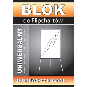 Blok FLIPCHART 10 kartek kratka